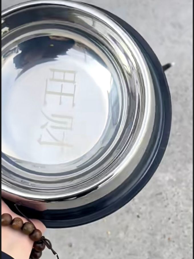 宠物食具水具