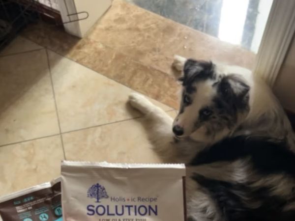 耐吉斯加拿大进口狗粮，幼犬成犬五种。