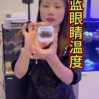 鱼缸温度计，养鱼我建议有一个鱼缸温度计