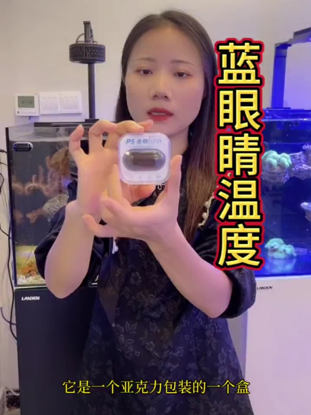 鱼缸温度计，养鱼我建议有一个鱼缸温度计