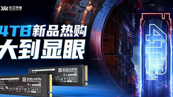 致态推出 Ti600/TiPlus 7100 SSD 4TB 版：读速可达 7000MB/s、原厂颗粒