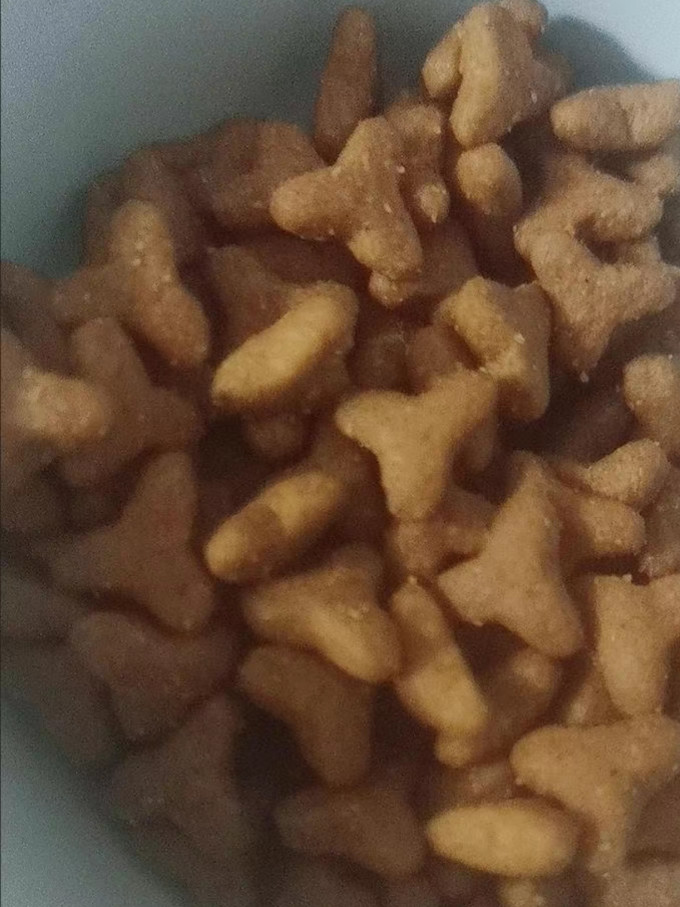 欢虎仔狗粮