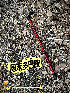 9.9元的登山杖——周末亲子爬山必备