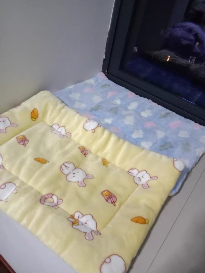 猫狗窝