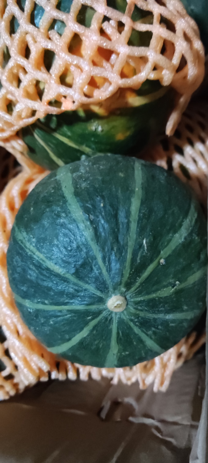 晓筱农场蔬菜