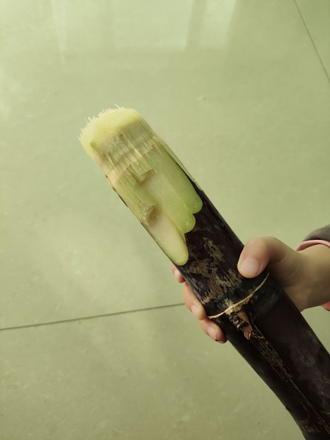 梦芷新鲜水果