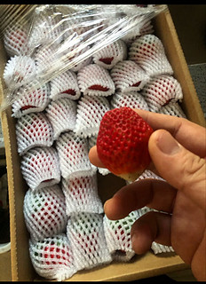 草莓季来啦～