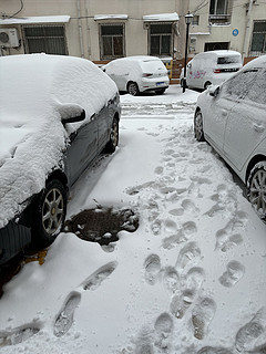 鹅毛大雪，一夜素装