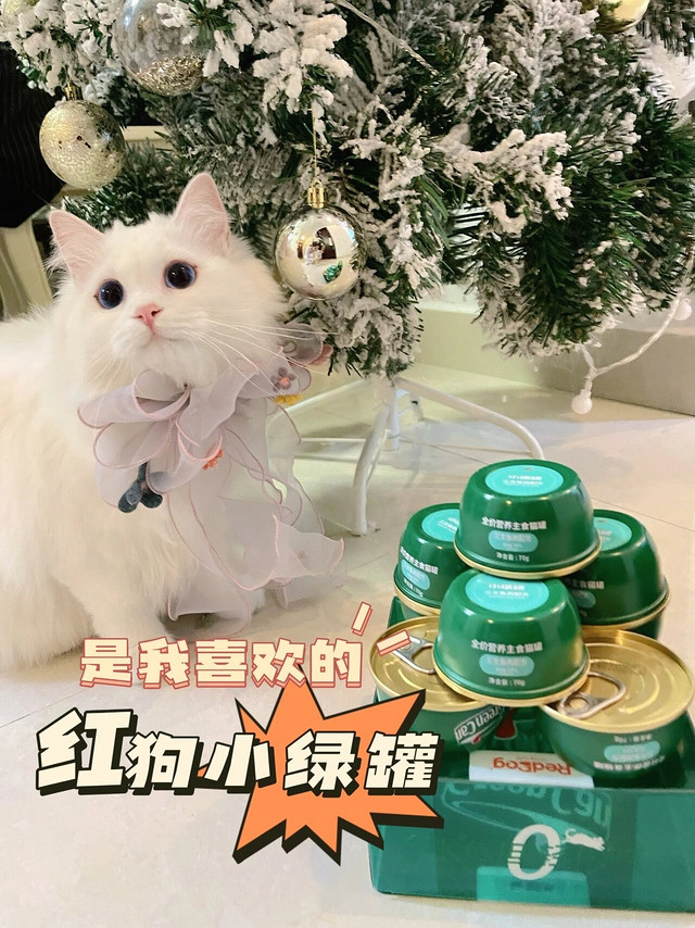 猫罐头除了骗水喝还能美毛护毛？？