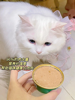 猫罐头除了骗水喝还能美毛护毛？？