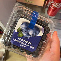 个大味美的蓝莓
