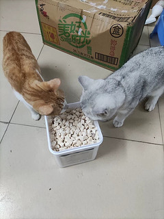 猫零食新选择！！！