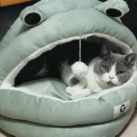 喵，你不想来看看我家的猫窝吗？
