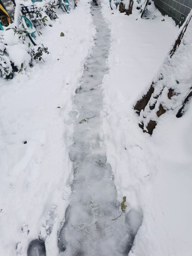 下雪天开车需要注意什么？在线等