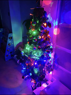 买一棵圣诞树，图的是明年平平安安。