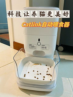 科技解放双手，catlink自动喂食器真香
