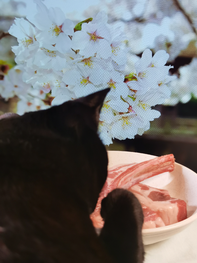 东来顺牛肉