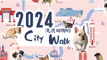 2024旺汪家园台历开卖啦《流浪动物的City Walk》