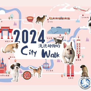 2024旺汪家园台历开卖啦《流浪动物的City Walk》