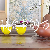紫砂壶喝茶，品味生活的美好