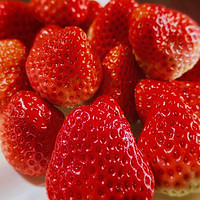 草莓的魔力：让你幸福感倍增的冬天水果