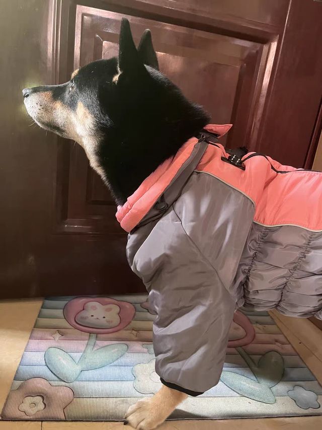 狗狗冬装保暖衣服