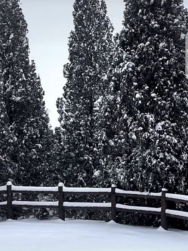 雪后冠山一瞥