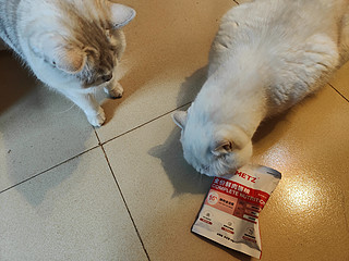 两只猫咪闻到味道就来蹭我，看来这个猫粮是真香呀