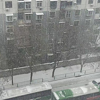 所以你们的城市下雪了吗？