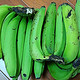 多多上面一元一斤的香蕉，到家已经5天了！它依然蕉绿，我心里很焦虑！