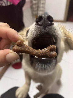 狗狗的零食