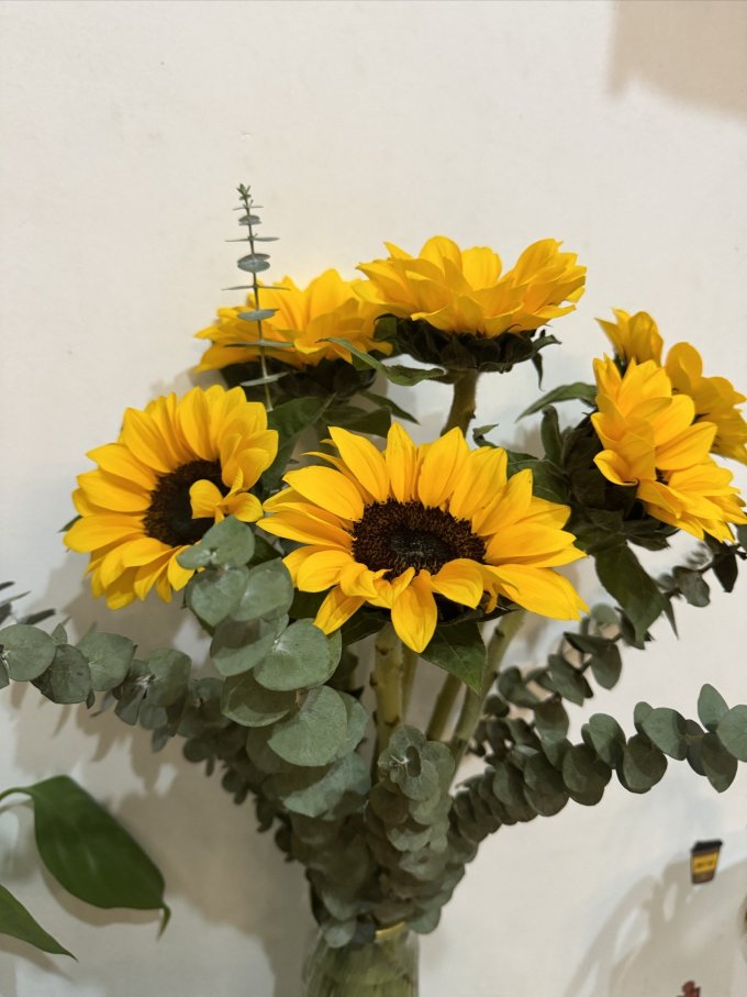 西子悦鲜花绿植