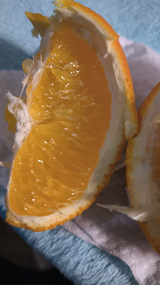 赣南脐橙新鲜水果