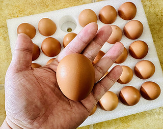 正大鲜鸡蛋 全程追溯 安心有保障
