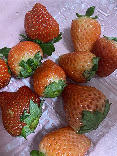 草莓太甜了