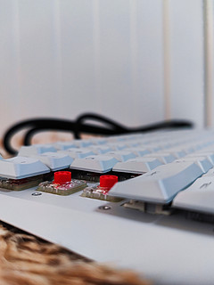 CHERRY矮红轴，外星人510K机械键盘