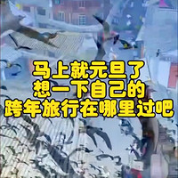 元旦跨年适合去哪里旅行呢？