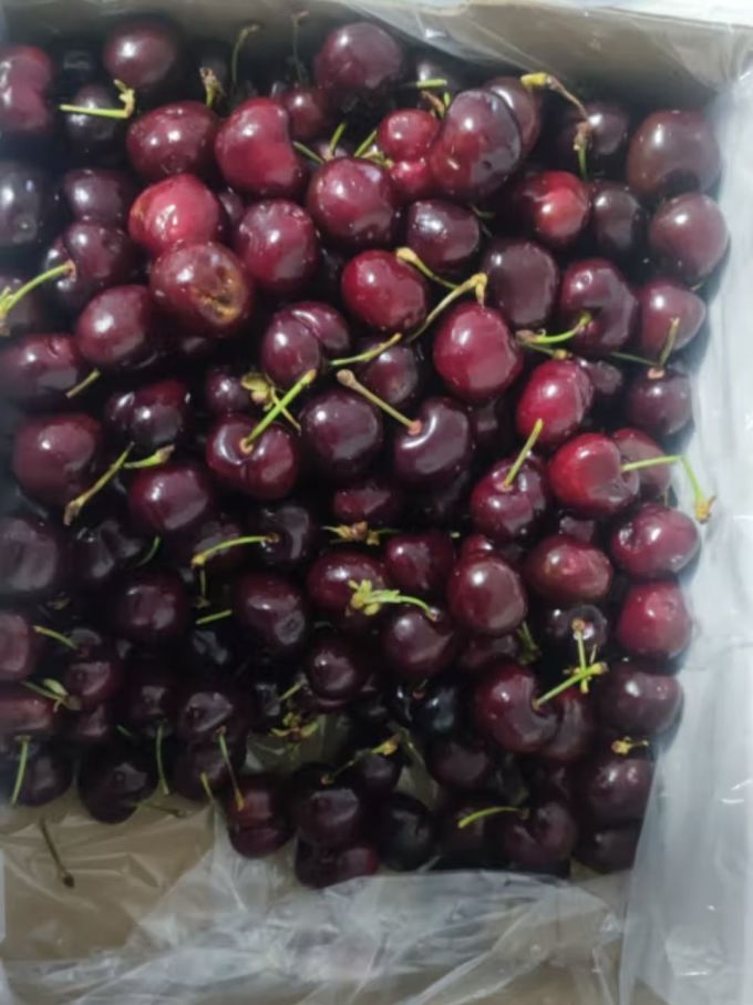 栀舒新鲜水果