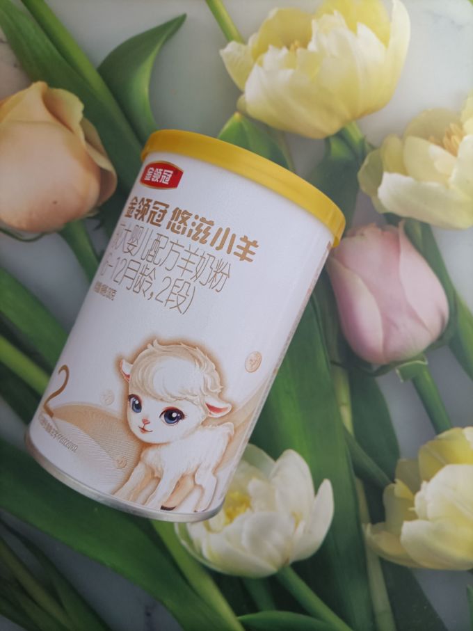 金领冠特殊配方奶粉