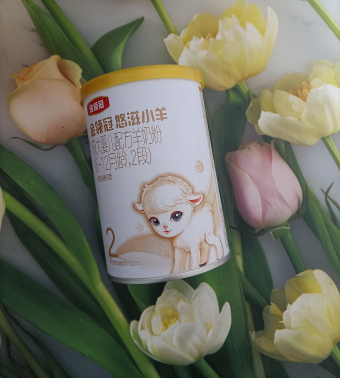 金领冠特殊配方奶粉