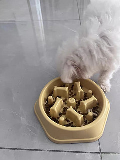 狗狗慢食碗应该是养狗家庭的必备吧！