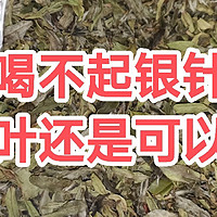 茶道人生 篇五十：喝不起银针，鱼叶还是可以的