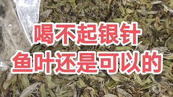 茶道人生 篇五十：喝不起银针，鱼叶还是可以的