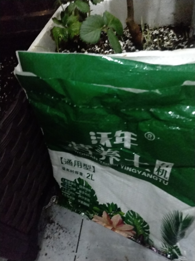 沃年其他园艺工具