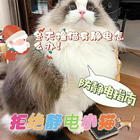 冬天猫咪炸毛？可不要忽视静电带来的危害