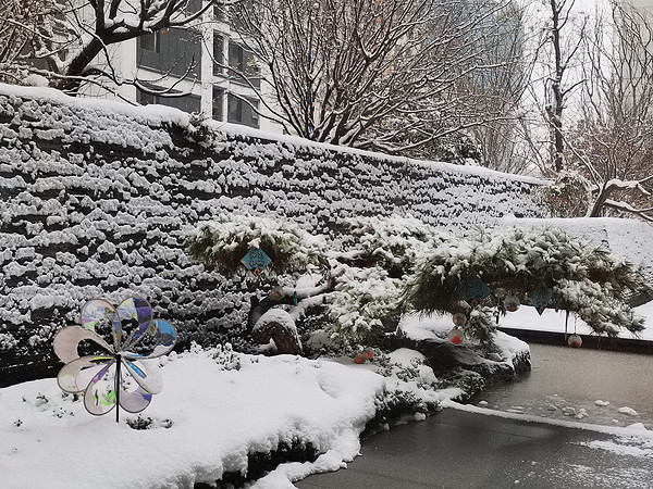 大雪过后空气真好