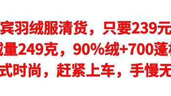 卡宾羽绒服清货，只要239元，充绒量249克，90％绒+700蓬松度，款式时尚，赶紧上车，手慢无货