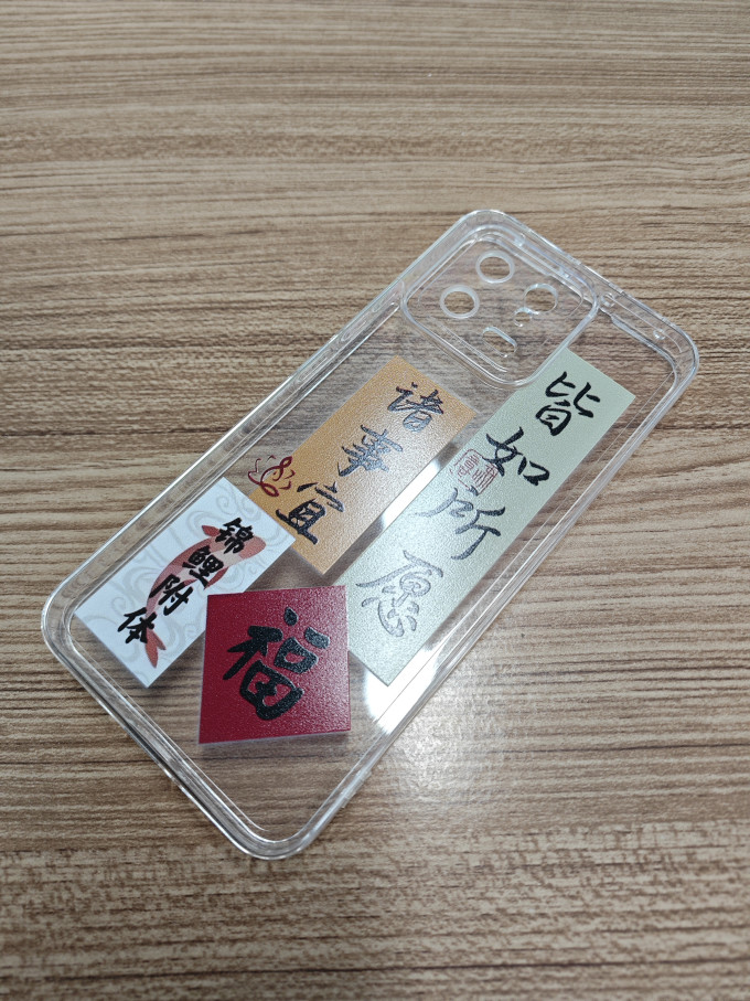 潘胜保护壳