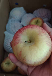 阿克苏苹果水果 新疆阿克苏冰糖心苹果红富士丑苹果 新鲜时令水果礼盒 10斤装精选一级果 单果70-80mm