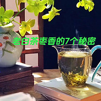 四川茶博会 篇十八：四川茶博会 老白茶的枣香 可能你都不知道的7个秘密
